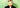 Cathryn Wills stands against a green wall + smiles at the camera