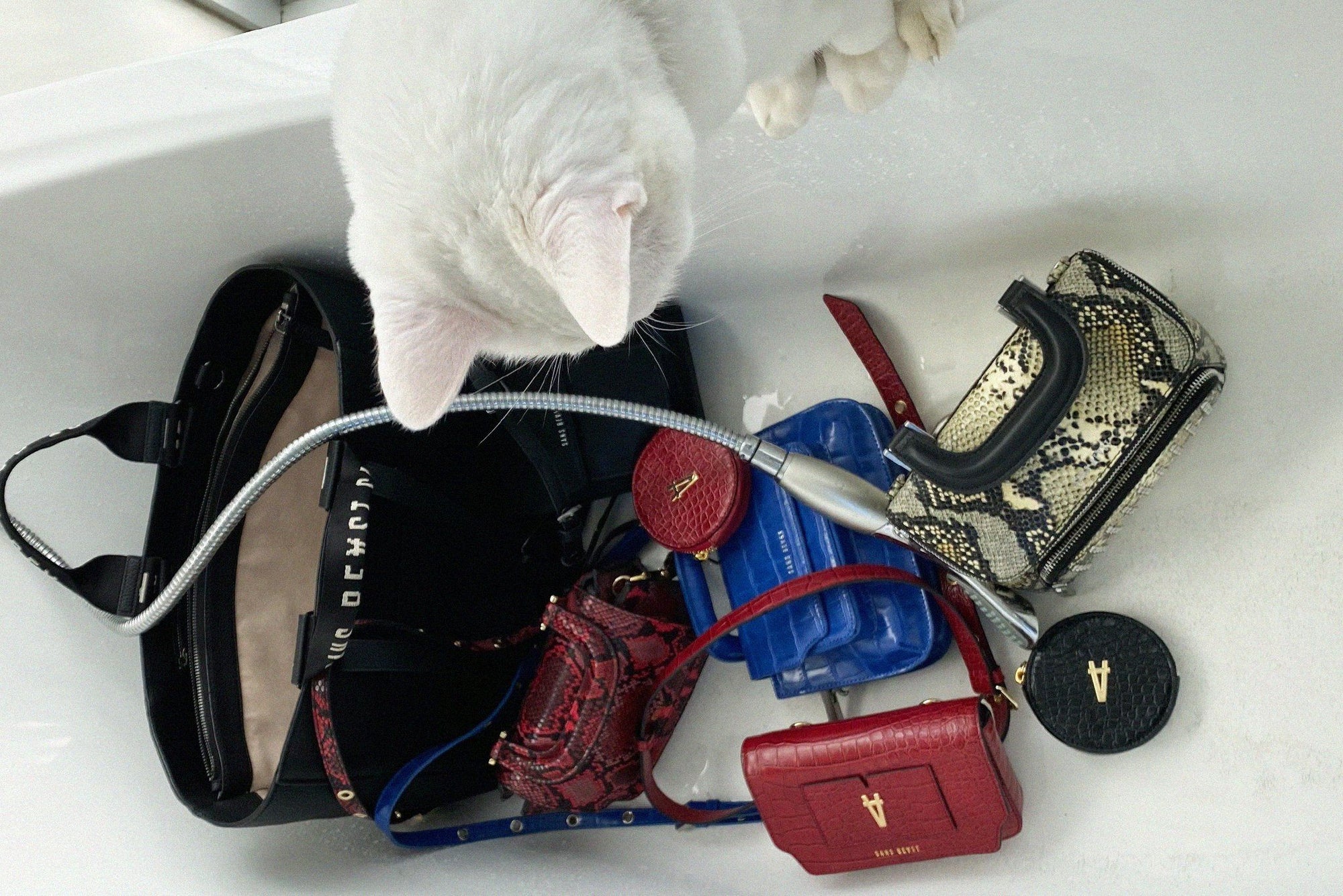 Luna the cat looks at a cluster of various Sans Beast vegan bags sitting in a white bathtub. 
