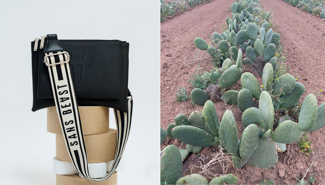 Sans Beast Francisco Cactus Leather Handbag, shown next to the nopal cactus fields in Zacatecas, Mexico